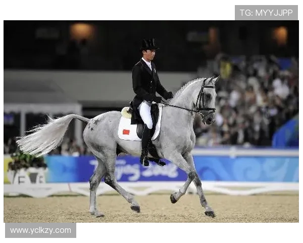 马术华天团体赛精彩表现